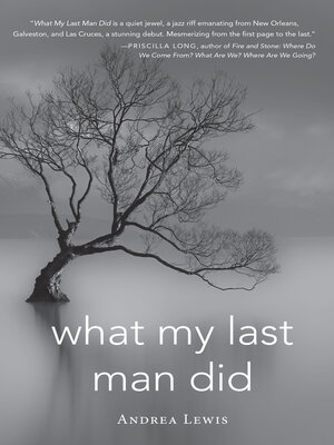 cover image of What My Last Man Did